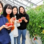 トマトを持つ中河美重さん（右端）と流通科学大の学生＝小野市広渡町