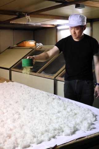 蒸した酒米にこうじ菌を振りかける長谷川眞一郎社長＝加東市下滝野