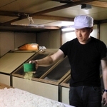 蒸した酒米にこうじ菌を振りかける長谷川眞一郎社長＝加東市下滝野