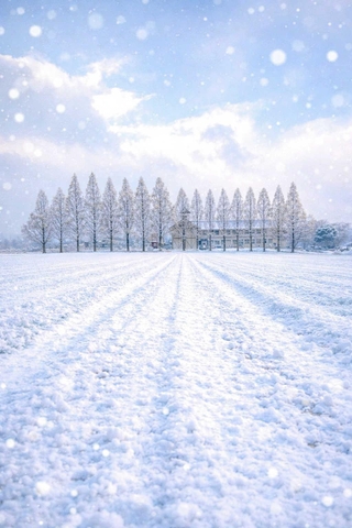 ｓｈｏ＿ｇｌａｍ１２２３さんの「播磨に舞い降りた、北の大地の記憶」＝２月８日、加西市北条町東高室