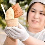 甘み詰まった「加西とまと」いかが　特産大玉トマトの特別メニュー、市内9店舗で提供