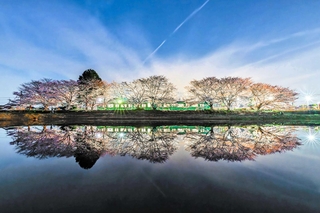 ｓｋｙ８７ｃさんの「北播磨の春がやって来ました！」＝４月３日、小野市復井町