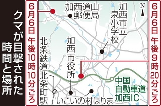 クマが目撃された時間と場所