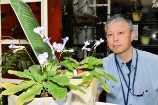県立フラワーセンターの開園５０年を記念し、展示されているオリジナル品種「ルークススペイ」＝加西市豊倉町