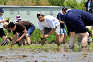 自然の中で田植え体験を楽しむ下柳剛さん（中央）と参加者＝加西市玉野町