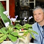 県立フラワーセンターの開園５０年を記念し、展示されているオリジナル品種「ルークススペイ」＝加西市豊倉町