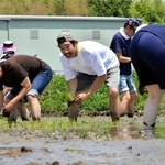 自然の中で田植え体験を楽しむ下柳剛さん（中央）と参加者＝加西市玉野町