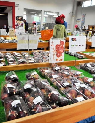 おのこまちの愛称で親しまれる小野市産イチジク＝サンパティオおの