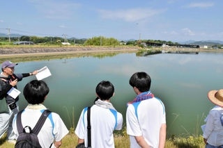 １９０５年に完成した奉天池。田畑に潤いをもたらすとともにゴルフの練習場としても活用されている＝加西市鶉野町