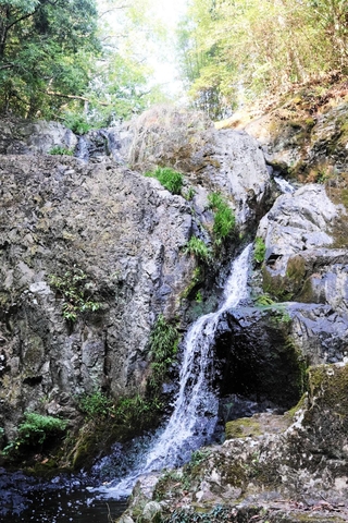 鹿野川にあるつくばねの滝。周辺にビャクダン科の植物ツクバネが自生している＝加東市畑
