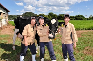 ６年連続で「エクセレント」の称号を獲得した乳牛を育てる（左から）原愛子さん、木村心美さん、實盛智美さん＝播磨農業高校