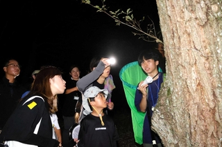光を使って虫を発見した子どもら。右端はファーブルの学校の稲垣新汰さん＝県立やしろの森公園