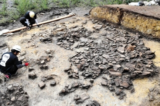 大量の埴輪が出土した玉丘古墳＝加西市玉丘町