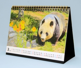 タンタンの卓上カレンダー