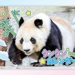 タンタンの壁かけカレンダーの表紙