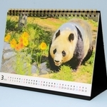 タンタンの卓上カレンダー