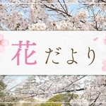 神戸新聞NEXT
