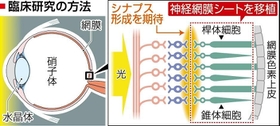 神戸新聞ＮＥＸＴ
