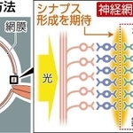 神戸新聞ＮＥＸＴ