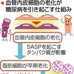 神戸新聞ＮＥＸＴ