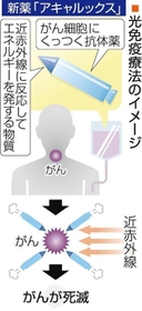 神戸新聞ＮＥＸＴ
