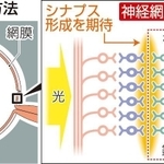 神戸新聞ＮＥＸＴ