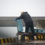 死魚を不法投棄しているとみられる人物（神戸海上保安部提供）