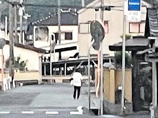 容疑者とみられる後ろ姿＝１７日午前５時ごろ、たつの市新宮町井野原（提供）