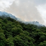 煙をあげる山林＝２６日午後２時４１分、宍粟市波賀町戸倉から