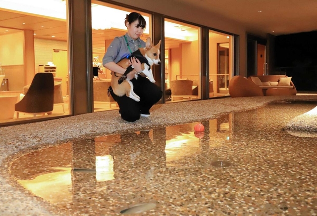 有馬温泉の銀泉を使った犬専用の足湯。リードを装着すれば自由に遊ばせられる＝神戸市北区有馬町、有馬グランドホテル（撮影・斎藤雅志）