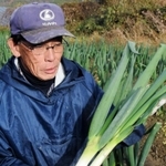 極太の牛角系（左）と、従来の長葉系の岩津ねぎを手にする米田隆至さん。長葉系の直径は２センチ余りあるが細ネギにすら見える＝朝来市物部