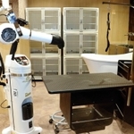 シャンプーやカットなどを提供するトリミングルーム＝神戸市東灘区向洋町中２