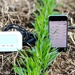 モモの農業用センサーとスマートフォンの画面（同社提供）