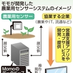 神戸新聞ＮＥＸＴ