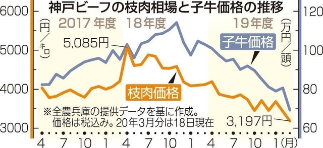 神戸新聞ＮＥＸＴ