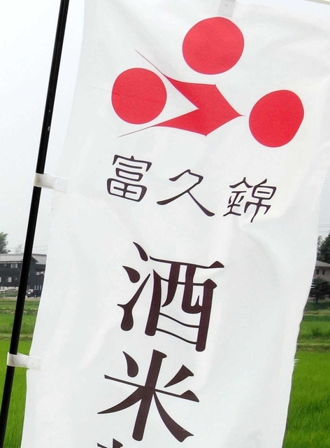 山田錦の田んぼに立つ富久錦