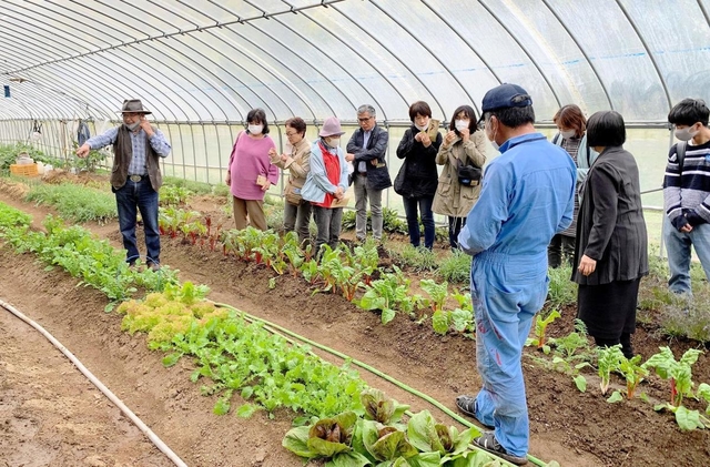 消化液で育てた野菜を見て味わう見学ツアー参加者ら