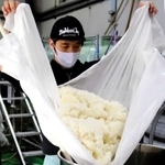 地エネの酒「環（めぐる）」の仕込みに励む壷阪雄一さん＝宍粟市山崎町山崎、山陽盃酒造