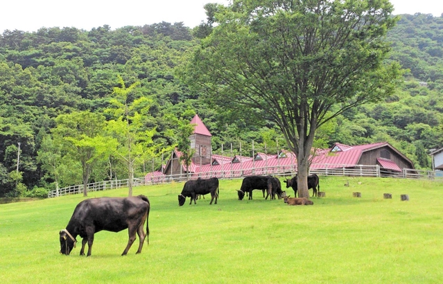 但馬牛と草原の歴史が学べる但馬牧場公園＝新温泉町