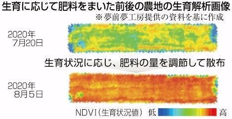 神戸新聞ＮＥＸＴ