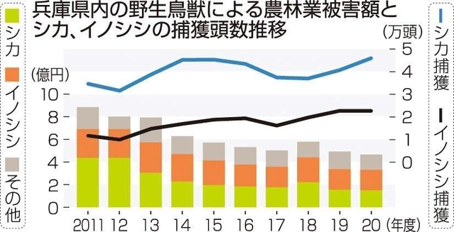 神戸新聞ＮＥＸＴ