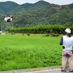 イネの生長に応じて、適量の肥料を散布する無線操縦ヘリコプター＝姫路市夢前町宮置