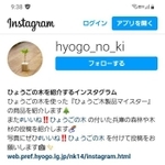 「ひょうごの木」のインスタグラムの公式ページ