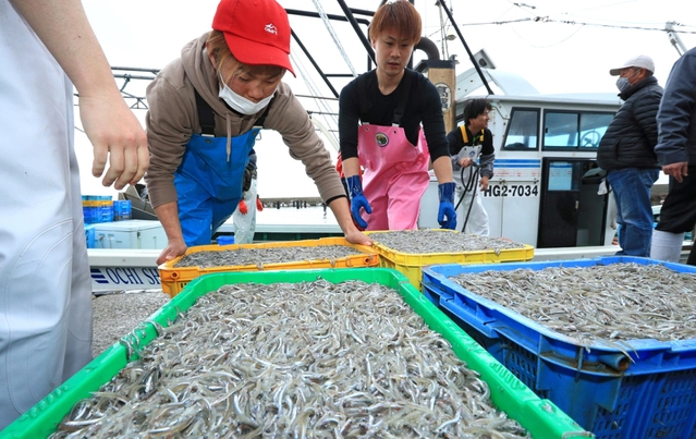 昨年のイカナゴのシンコ漁解禁日。前年より多く取れたが…＝２０２１年３月６日、林崎漁港