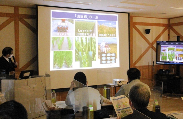 生産、酒造、研究などさまざまな立場からの発表が続いたセミナー＝加東市沢部、兵庫県酒米研究交流館