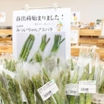 直売所に並んだアスパラガス「みらいちゃんアスパラ」＝加西市豊倉町、かさい愛菜館