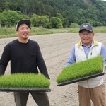 田植え前の田んぼで苗を手にする吉田勝博さん（左）と馬躰哲郎さん＝姫路市安富町名坂