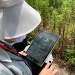 農地の状況を見てタブレットを操作する神戸市農業委員会事務局の職員＝２０２１年６月、神戸市西区（サグリ提供）