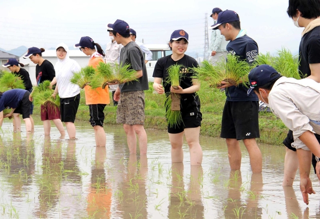 田植えを体験するワールド・ワンの新入社員ら＝加東市出水