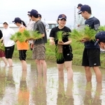 田植えを体験するワールド・ワンの新入社員ら＝加東市出水